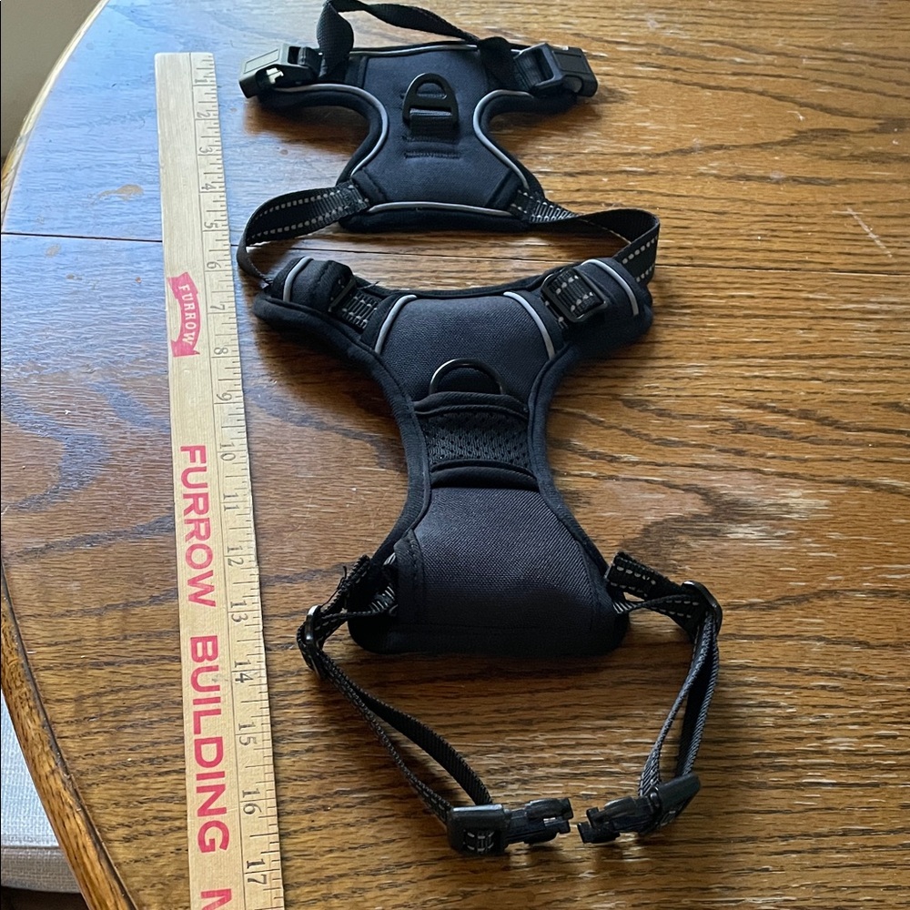 Black Dog Harness